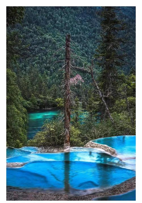 仙女池自驾游路线怎么安排？-第3张图片-星月文旅