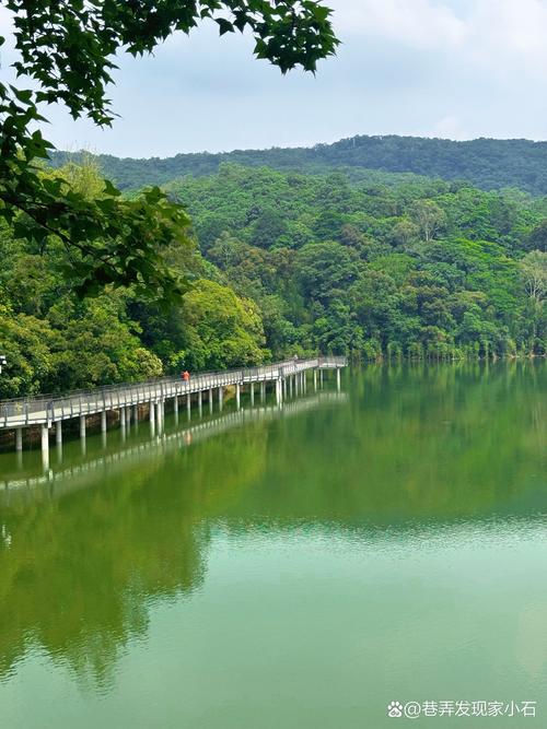 广州一日自驾游，有哪些必打卡景点？-第2张图片-星月文旅
