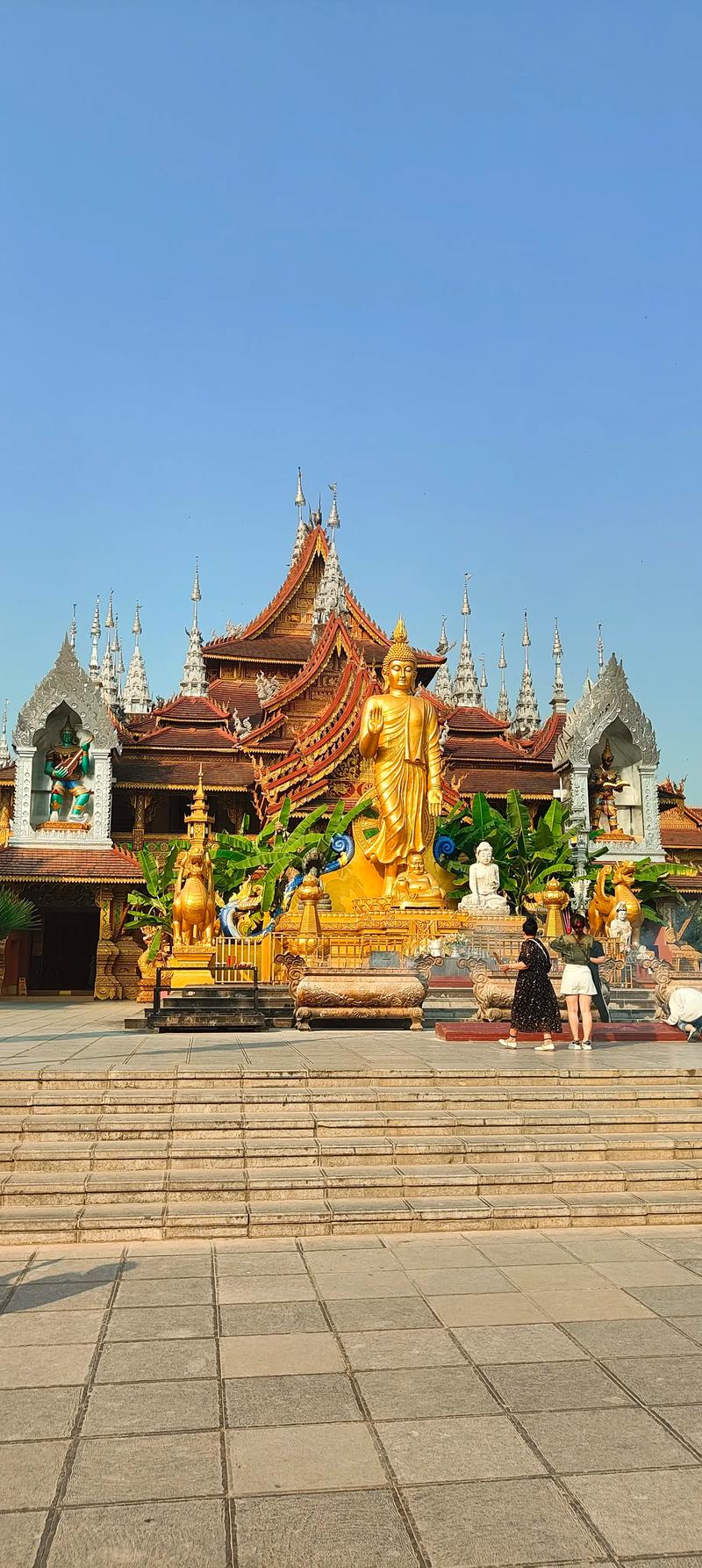 西双版纳必去景点有哪些?-第1张图片-星月文旅 西双版纳必去景点有哪些?-第1张图片-星月文旅