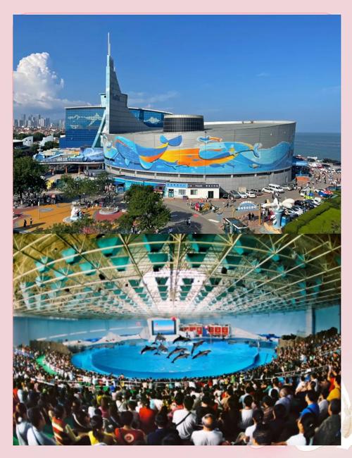 青岛极地海洋世界怎么玩最尽兴?-第1张图片-星月文旅 青岛极地海洋世界怎么玩最尽兴?-第1张图片-星月文旅