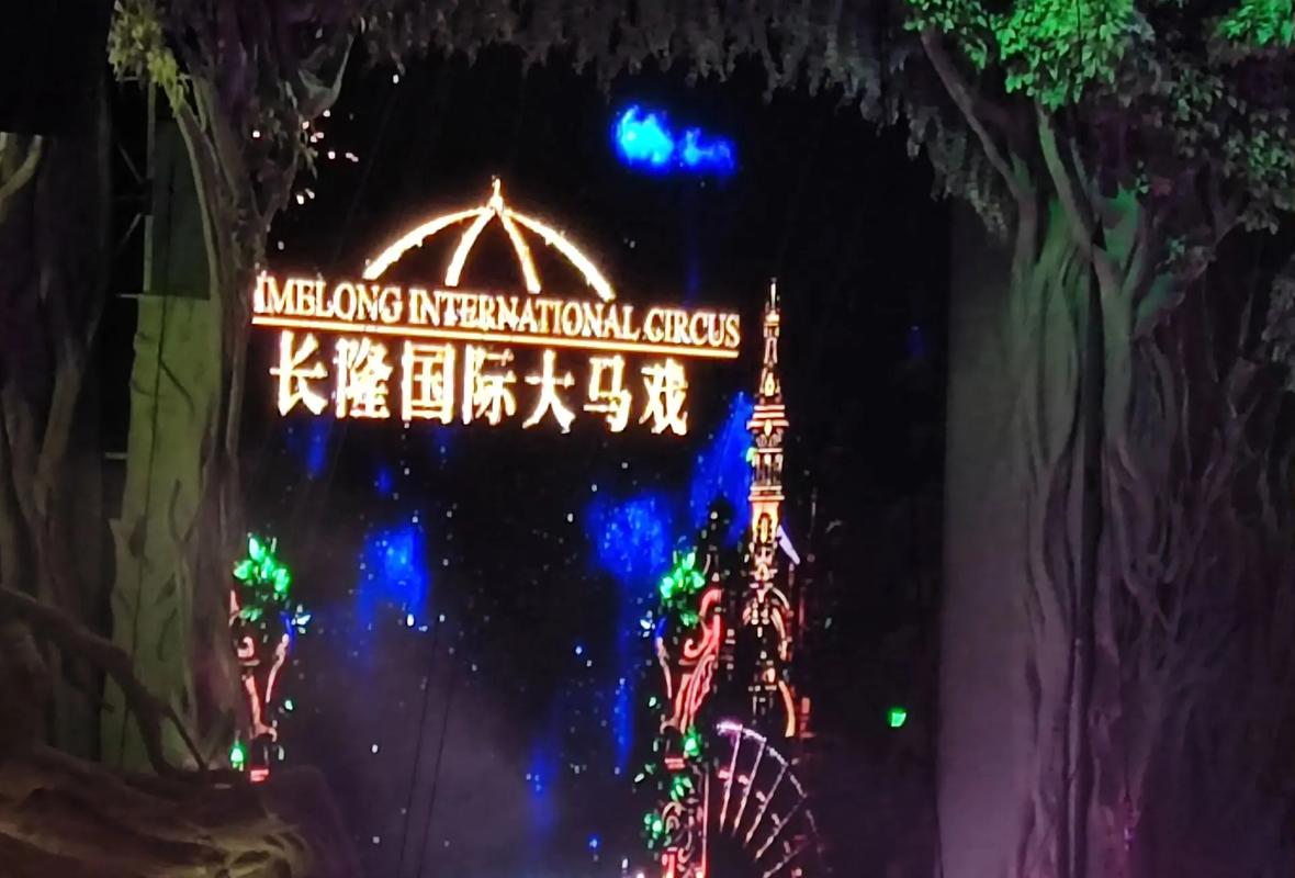 自驾游去长隆大马戏怎么玩最省心？-第2张图片-星月文旅