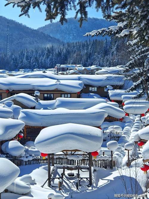 哈尔滨周边一日游去哪玩?-第1张图片-星月文旅 哈尔滨周边一日游去哪玩?-第1张图片-星月文旅