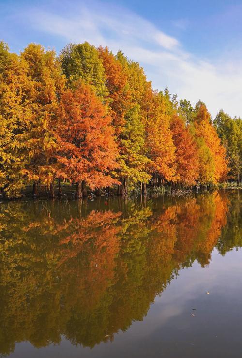 南京秋天必去景点有哪些?-第3张图片-星月文旅 南京秋天必去景点有哪些?-第3张图片-星月文旅