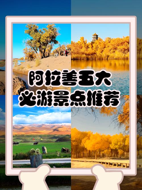 阿拉善必玩景点有哪些?-第1张图片-星月文旅 阿拉善必玩景点有哪些?-第1张图片-星月文旅