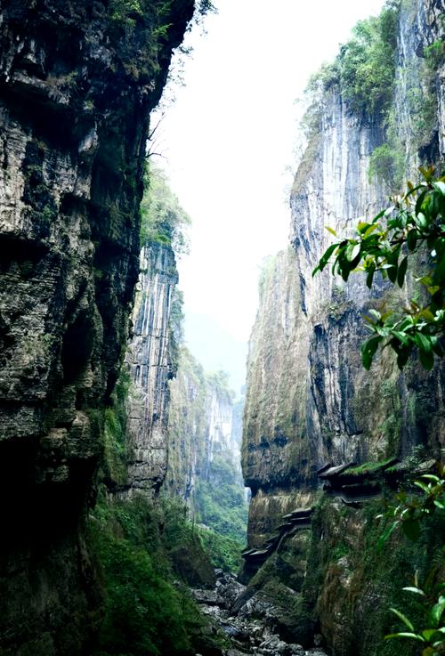 重庆到恩施大峡谷自驾游怎么规划?-第1张图片-星月文旅 重庆到恩施大峡谷自驾游怎么规划?-第1张图片-星月文旅