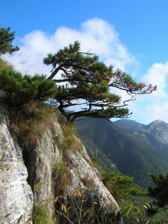 宜春有哪些必游景点?-第1张图片-星月文旅 宜春有哪些必游景点?-第1张图片-星月文旅