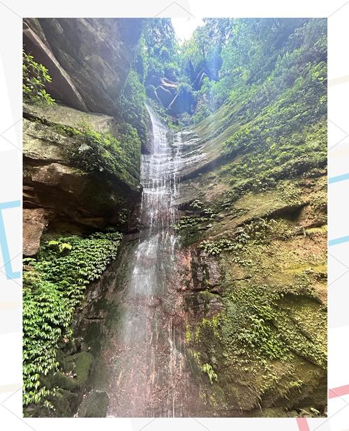 成都到碧峰峡自驾怎么走最顺?-第3张图片-星月文旅 成都到碧峰峡自驾怎么走最顺?-第3张图片-星月文旅