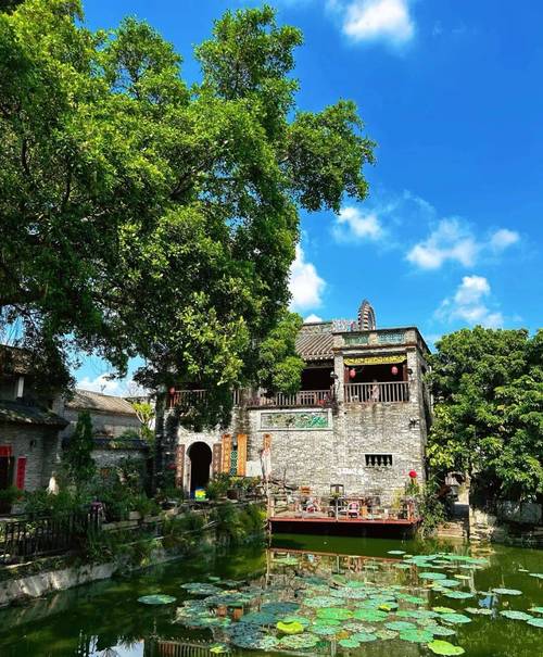 九江南海旅游景点哪里最值得玩?-第3张图片-星月文旅 九江南海旅游景点哪里最值得玩?-第3张图片-星月文旅