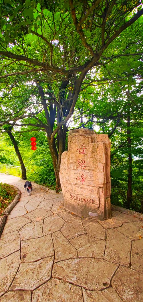 湖北谷城旅游怎么玩?必去景点有哪些?-第2张图片-星月文旅 湖北谷城旅游怎么玩?必去景点有哪些?-第2张图片-星月文旅