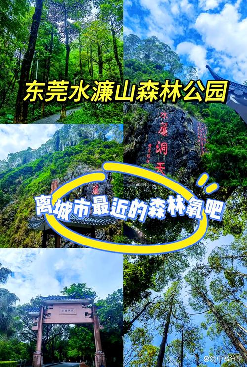 广东有哪些必玩旅游景点?-第3张图片-星月文旅 广东有哪些必玩旅游景点?-第3张图片-星月文旅