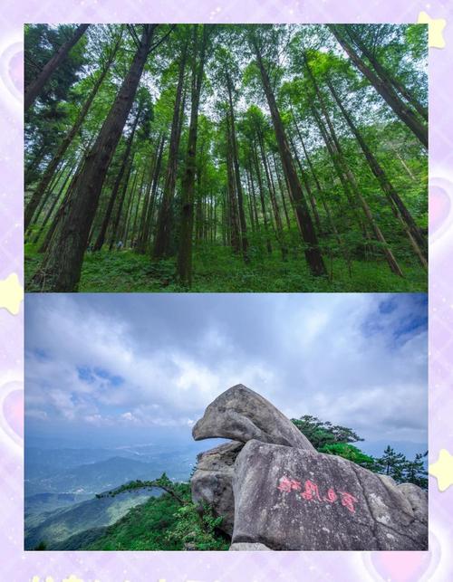 武汉到薄刀峰自驾怎么走？-第2张图片-星月文旅