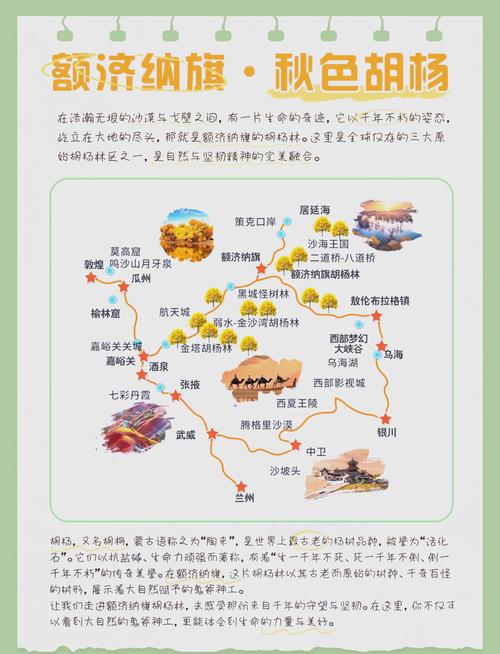 冬天额济纳旗 旅游攻略-第3张图片-星月文旅 冬天额济纳旗 旅游攻略-第3张图片-星月文旅