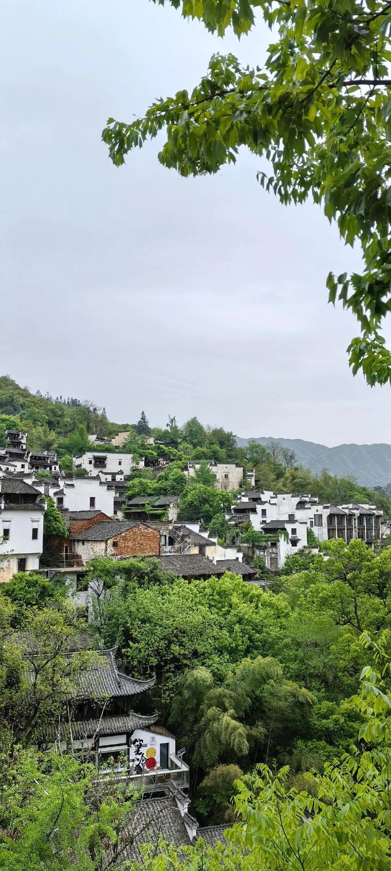 安徽婺源有哪些必游景点?-第1张图片-星月文旅 安徽婺源有哪些必游景点?-第1张图片-星月文旅