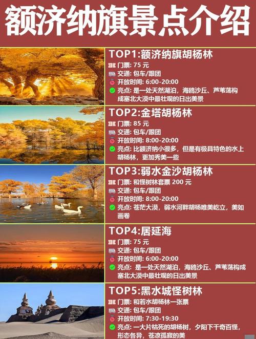 北京到额济纳旗怎么玩?-第3张图片-星月文旅 北京到额济纳旗怎么玩?-第3张图片-星月文旅