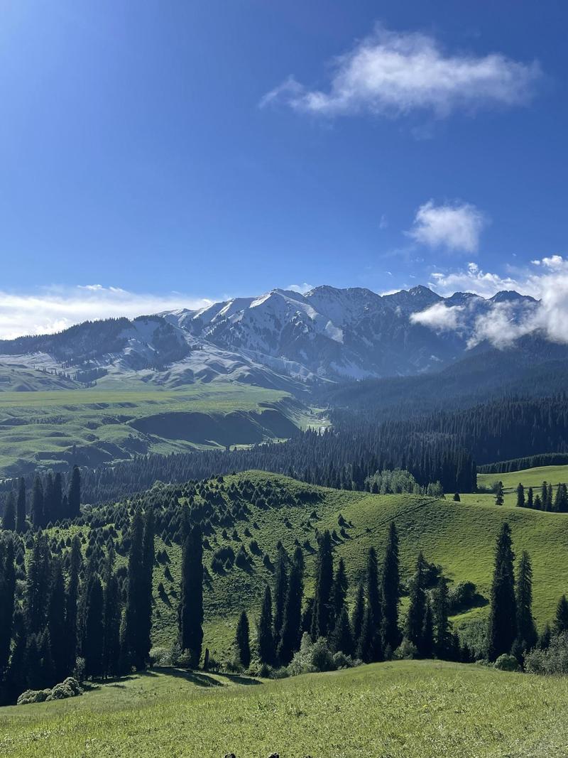 伊犁有哪些必游景点？-第2张图片-星月文旅