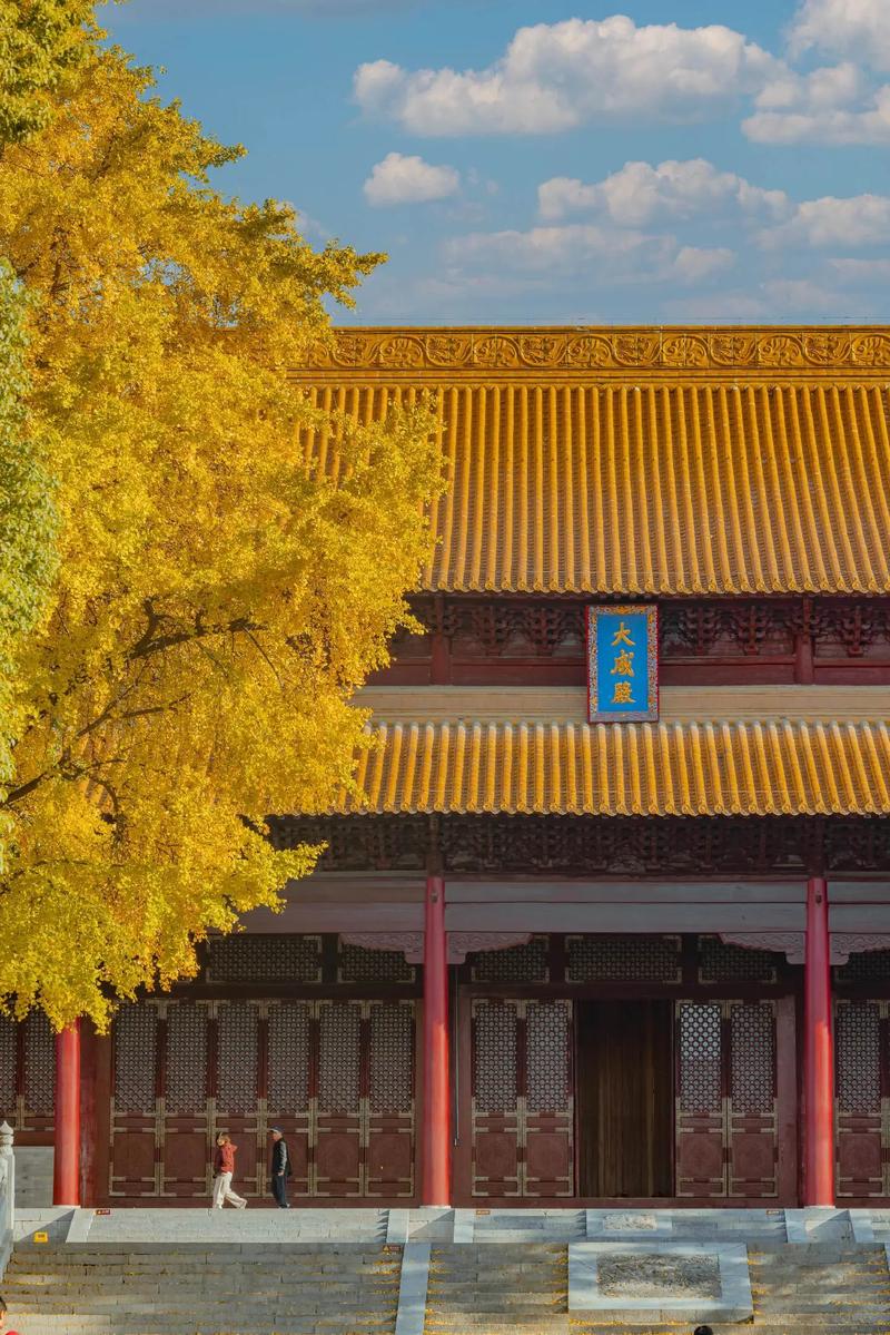 南京11月必游景点有哪些?-第1张图片-星月文旅 南京11月必游景点有哪些?-第1张图片-星月文旅