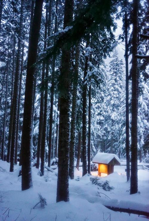 西雅图冬季旅游,有哪些必体验和避坑?-第1张图片-星月文旅 西雅图冬季旅游,有哪些必体验和避坑?-第1张图片-星月文旅