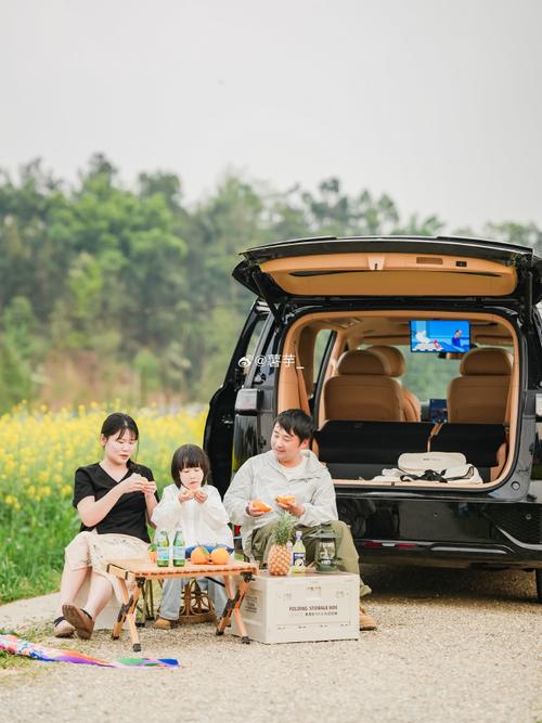 五一小明全家自驾游,去了哪里?-第1张图片-星月文旅 五一小明全家自驾游,去了哪里?-第1张图片-星月文旅