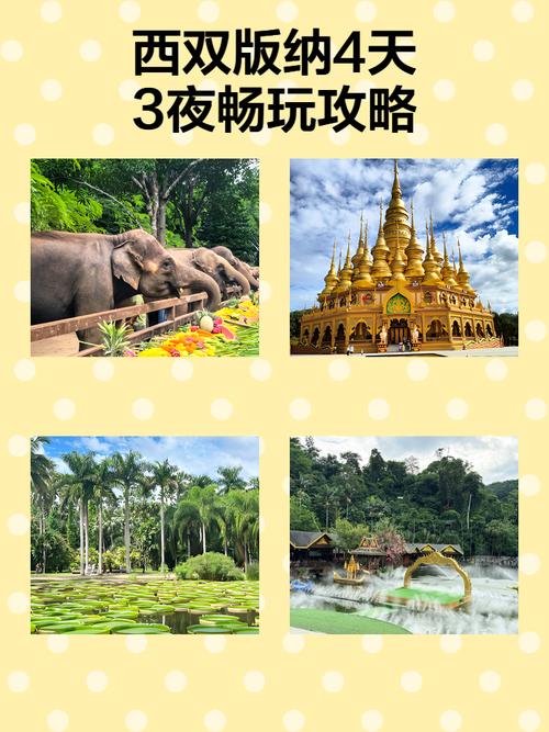 西双版纳4天自驾游路线怎么安排?-第1张图片-星月文旅 西双版纳4天自驾游路线怎么安排?-第1张图片-星月文旅