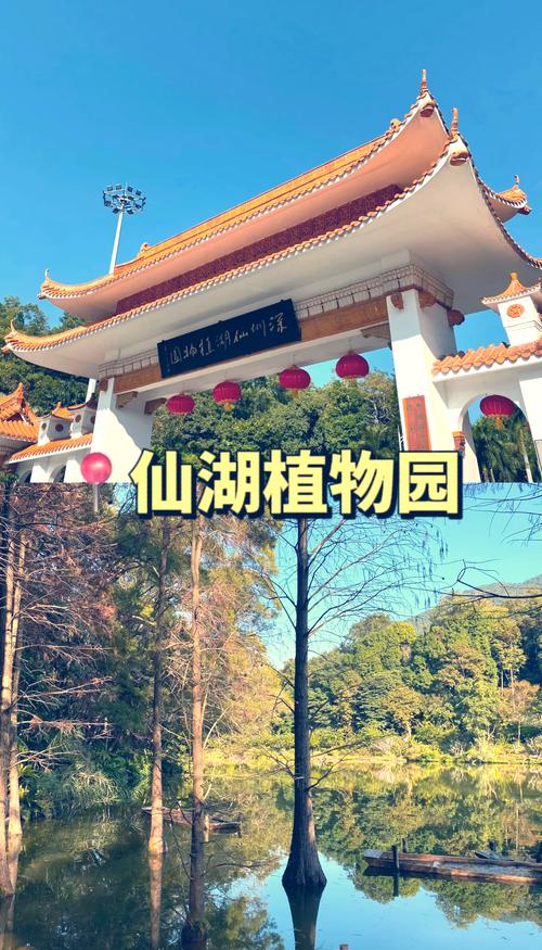 深圳有哪些必打卡的旅游景点？-第3张图片-星月文旅