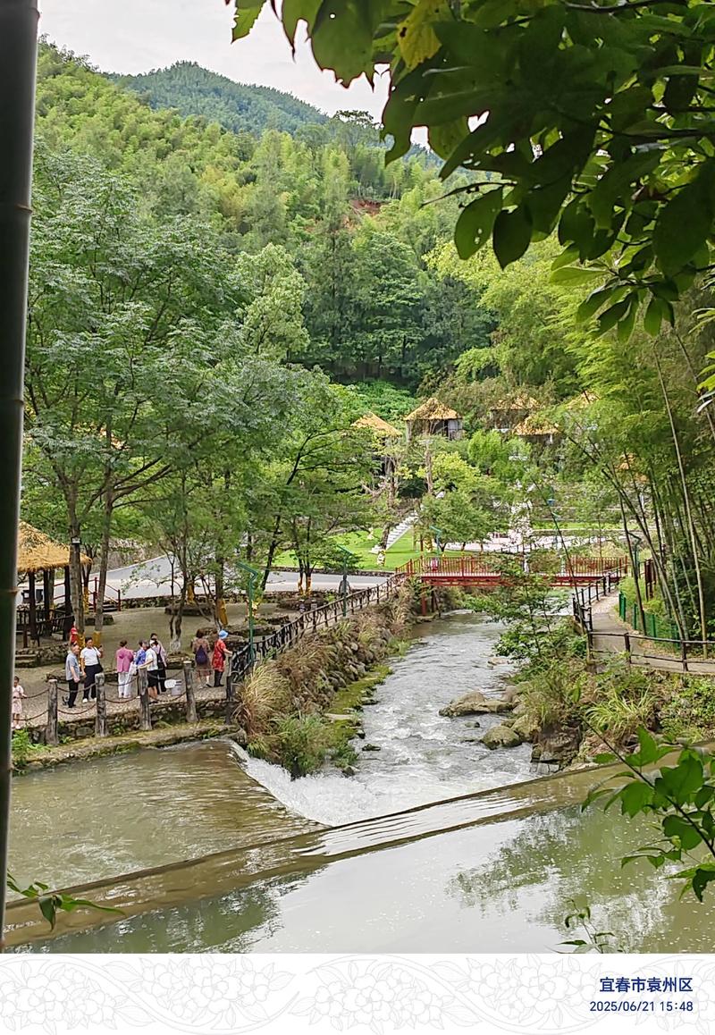 江西宜春周边有哪些必游景点?-第3张图片-星月文旅 江西宜春周边有哪些必游景点?-第3张图片-星月文旅