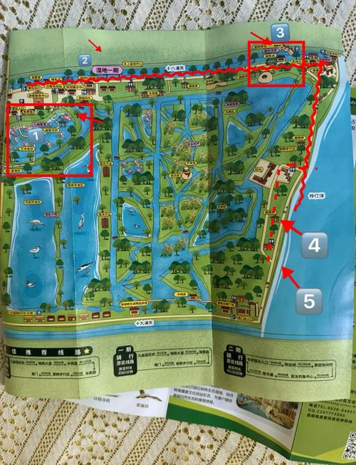 南沙湿地景区2日自驾游怎么安排?-第3张图片-星月文旅 南沙湿地景区2日自驾游怎么安排?-第3张图片-星月文旅