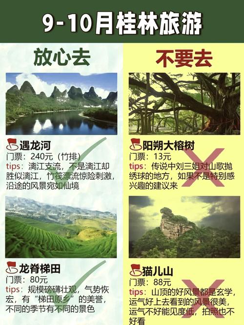 10月去桂林旅游攻略,有哪些必玩和避坑?-第1张图片-星月文旅 10月去桂林旅游攻略,有哪些必玩和避坑?-第1张图片-星月文旅