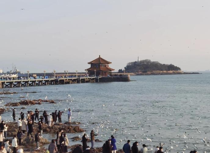 石家庄到青岛自驾游路线怎么规划?-第3张图片-星月文旅 石家庄到青岛自驾游路线怎么规划?-第3张图片-星月文旅