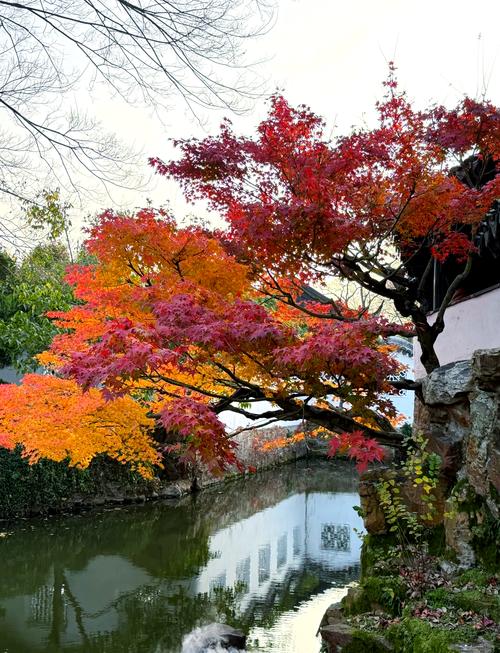 苏州冬天有哪些好玩的景点？-第2张图片-星月文旅