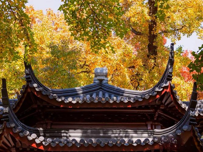 苏州冬天有哪些好玩的景点？-第3张图片-星月文旅