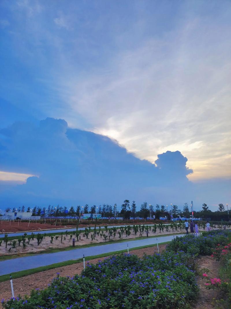 东莞周边哪些海边景点值得一去?-第1张图片-星月文旅 东莞周边哪些海边景点值得一去?-第1张图片-星月文旅