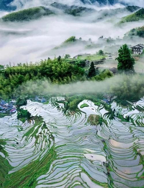 浙江丽水有哪些必打卡的好玩景点?-第2张图片-星月文旅 浙江丽水有哪些必打卡的好玩景点?-第2张图片-星月文旅