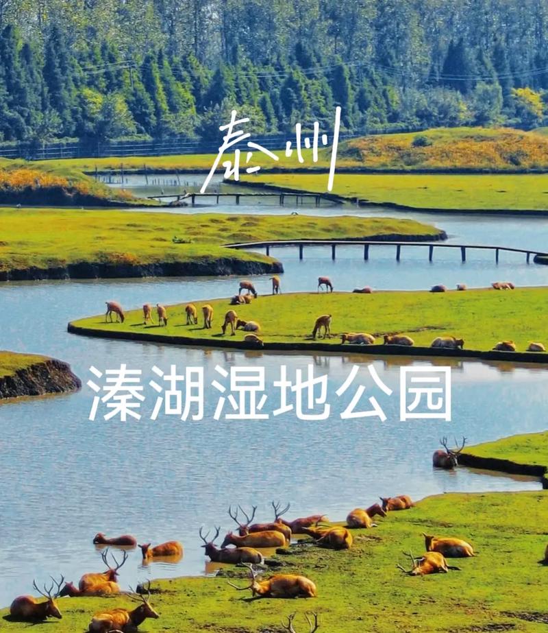 泰州旅游攻略有哪些必打卡景点？-第1张图片-星月文旅