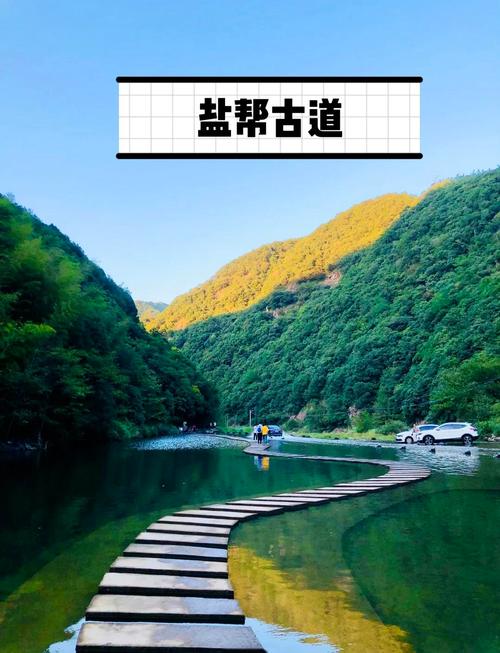 上海元旦周边自驾游去哪玩？-第1张图片-星月文旅