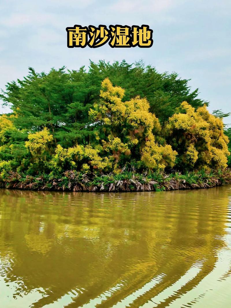 南沙湿地景区有哪些必游景点？-第3张图片-星月文旅