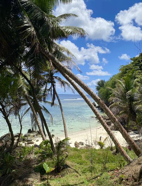 塞舌尔跟团旅游怎么选？攻略有哪些要点？-第2张图片-星月文旅