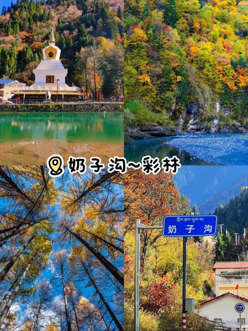 成都到米亚罗自驾游怎么走？-第3张图片-星月文旅