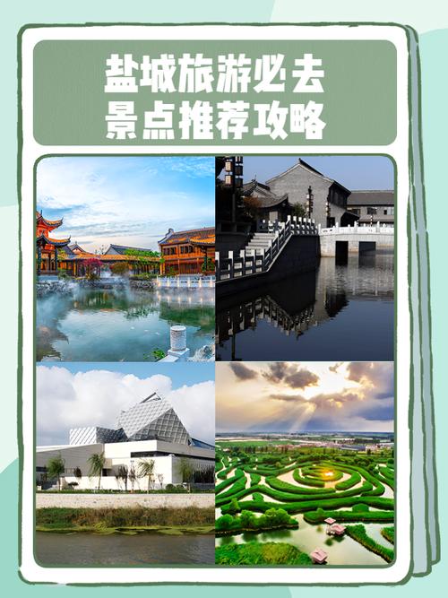 盐城亲子游必去景点有哪些？-第3张图片-星月文旅