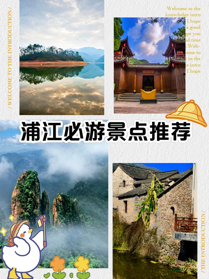 强生浦江自驾游攻略怎么规划最省心？-第1张图片-星月文旅