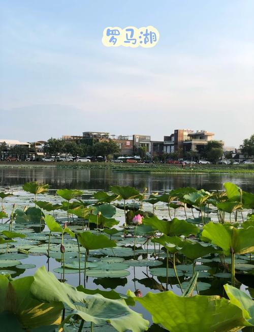 顺义旅游景点哪些最值得去?-第2张图片-星月文旅 顺义旅游景点哪些最值得去?-第2张图片-星月文旅