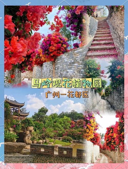 广州花都哪些景点最值得逛？-第2张图片-星月文旅