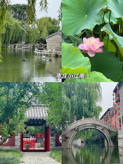 青岛到台儿庄自驾游怎么安排？-第1张图片-星月文旅