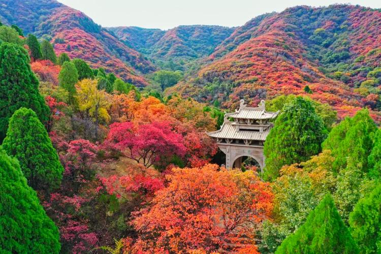 2025济南周边自驾游去哪玩？-第3张图片-星月文旅