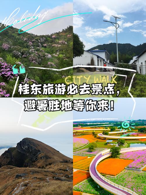 桂东有哪些必游景点？-第1张图片-星月文旅