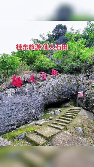 桂东有哪些必游景点？-第2张图片-星月文旅