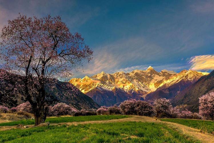 冬天林芝怎么玩？有哪些必打卡景点？-第2张图片-星月文旅