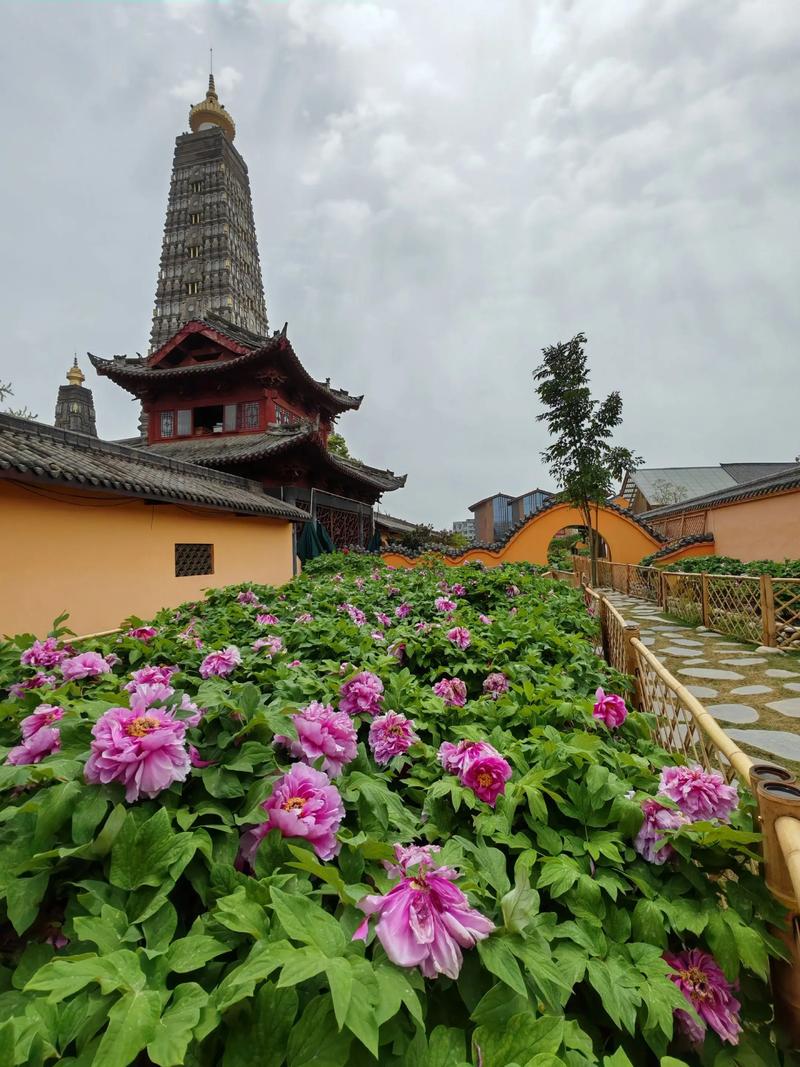 彭州2025有哪些必打卡旅游景点？-第2张图片-星月文旅