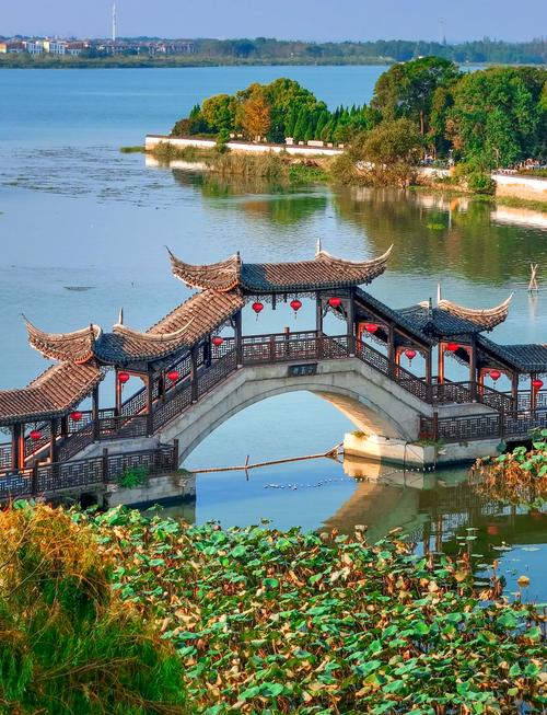 11月江浙沪去哪玩？景点推荐有哪些？-第1张图片-星月文旅