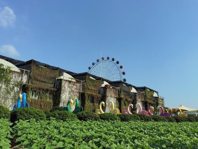 番禺百万葵园二日自驾游怎么安排？-第3张图片-星月文旅