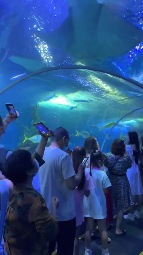 青岛海底世界自驾游二日怎么安排？-第3张图片-星月文旅